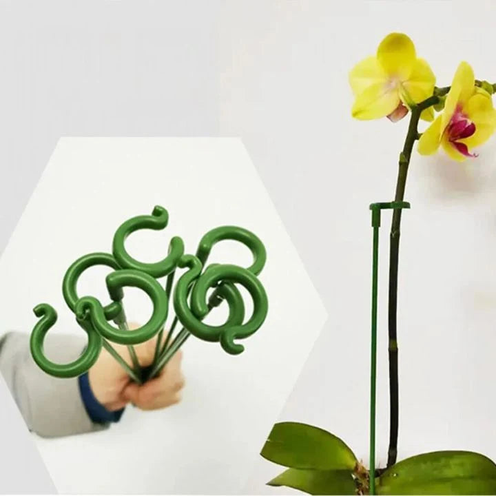 Plant Support Stakes UV-Resistant Tool-Free Set of 20