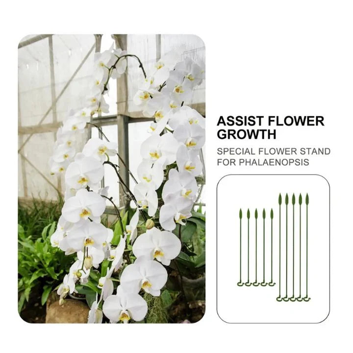Plant Support Stakes UV-Resistant Tool-Free Set of 20