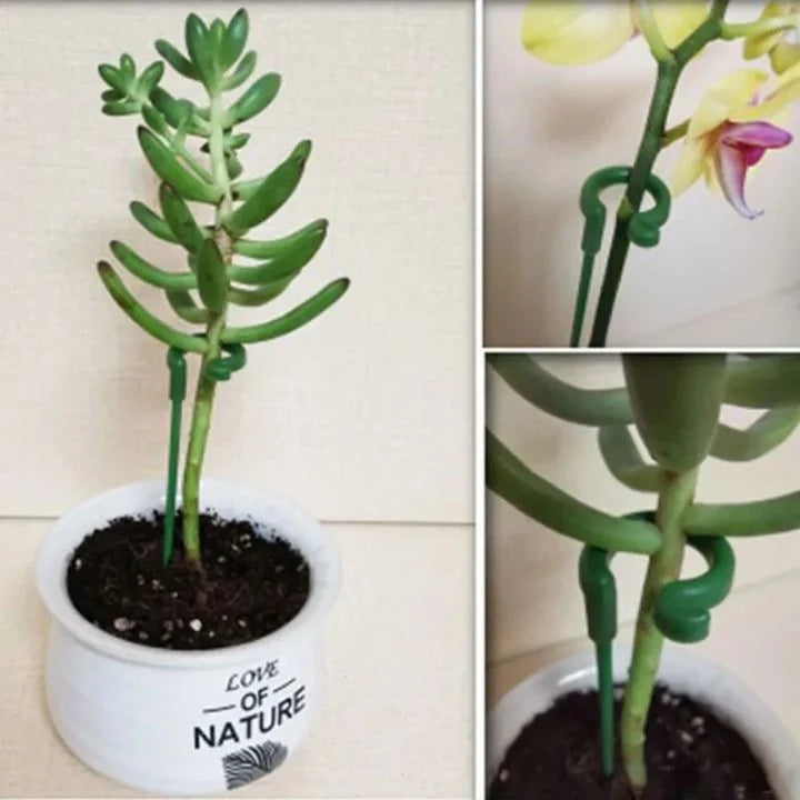 Plant Support Stakes UV-Resistant Tool-Free Set of 20