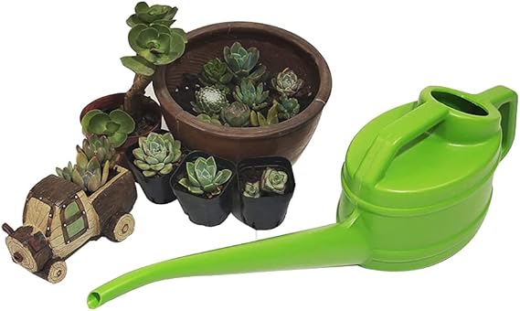 Plant Watering Can Long Narrow Spout Ergonomic Handle