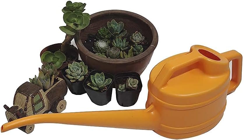 Plant Watering Can Long Narrow Spout Ergonomic Handle