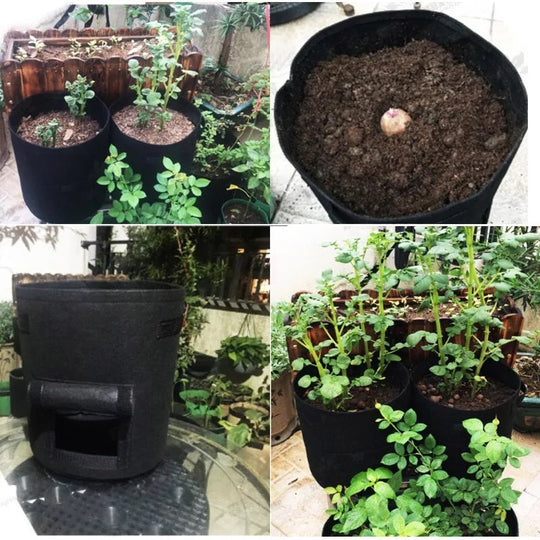 Planting Bag Breathable Fleece Harvest Flap & Reinforced Handles
