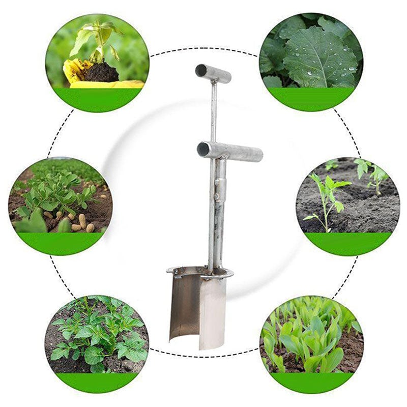 Planting Dibber Ergonomic T-Handle Stainless Steel 8cm Head
