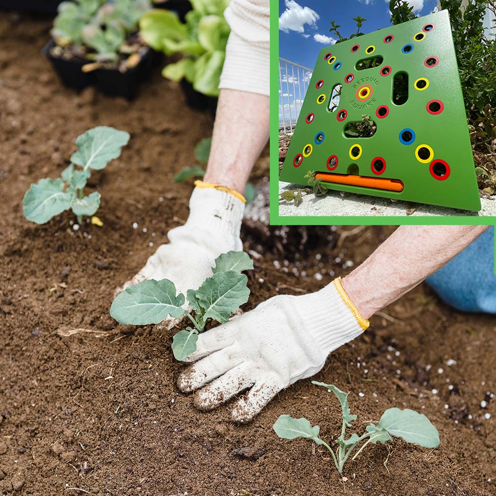 Planting Template Color-Coded Seed Spacing & Depth Guides