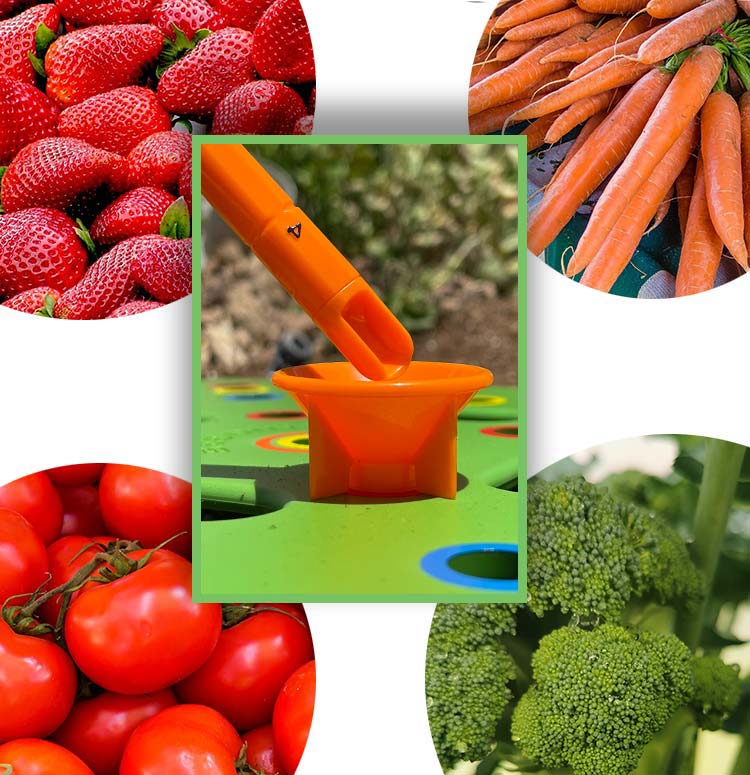 Planting Template Color-Coded Seed Spacing & Depth Guides