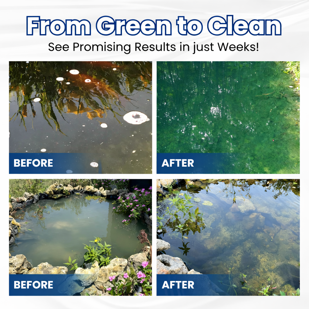 Pond Clarifier Biological Dual-Action Fast-Acting