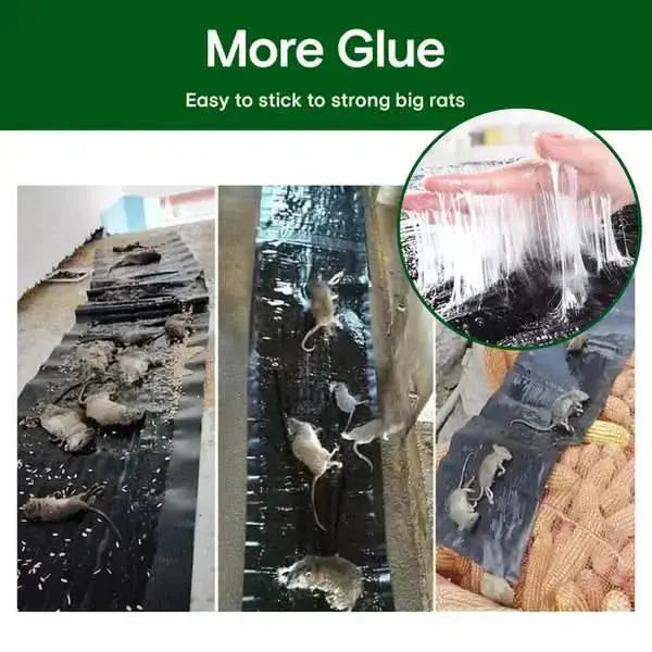 Rodent Glue Trap Extra-Strong Adhesion Non-Toxic & Pet-Safe