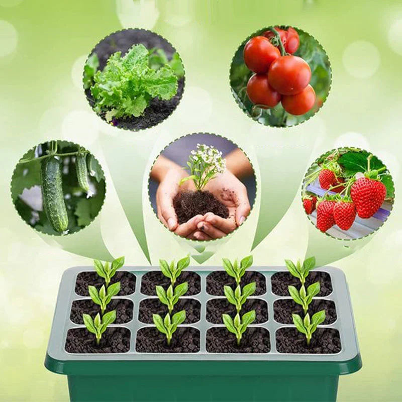 Seed Starter Tray Set 24-Cell USB LED Timer