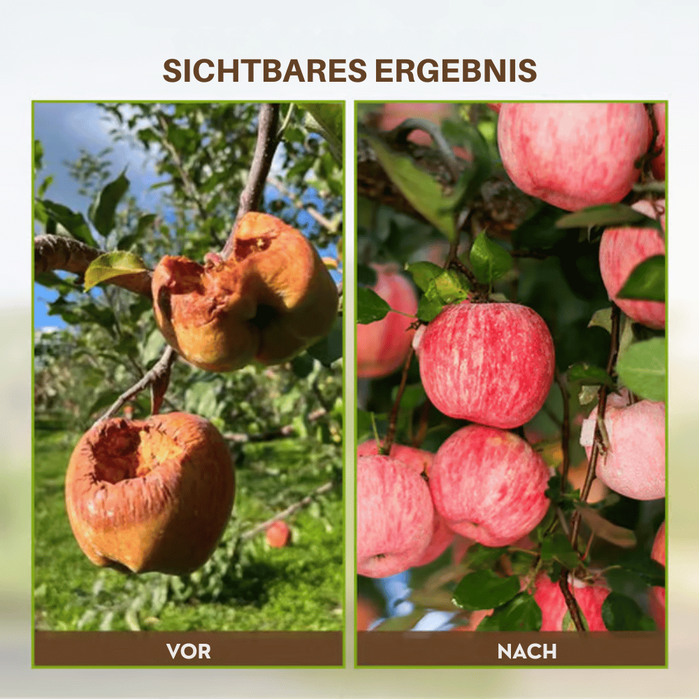 Soil Activator Powder Loosens Compacted Soil Boosts Nutrient Uptake