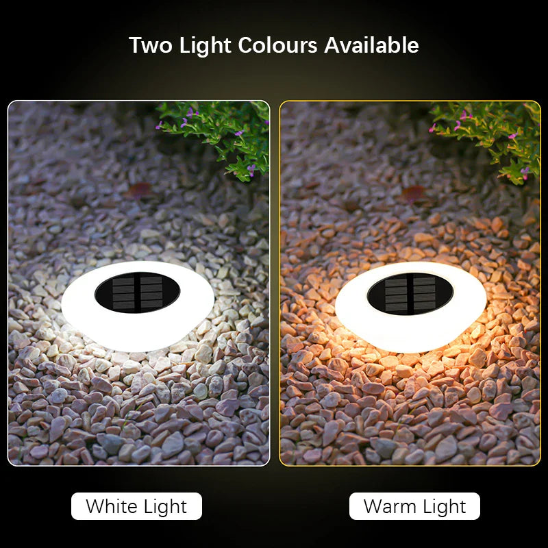 Solar Ground Lights 360° Ring Illumination Set of 4