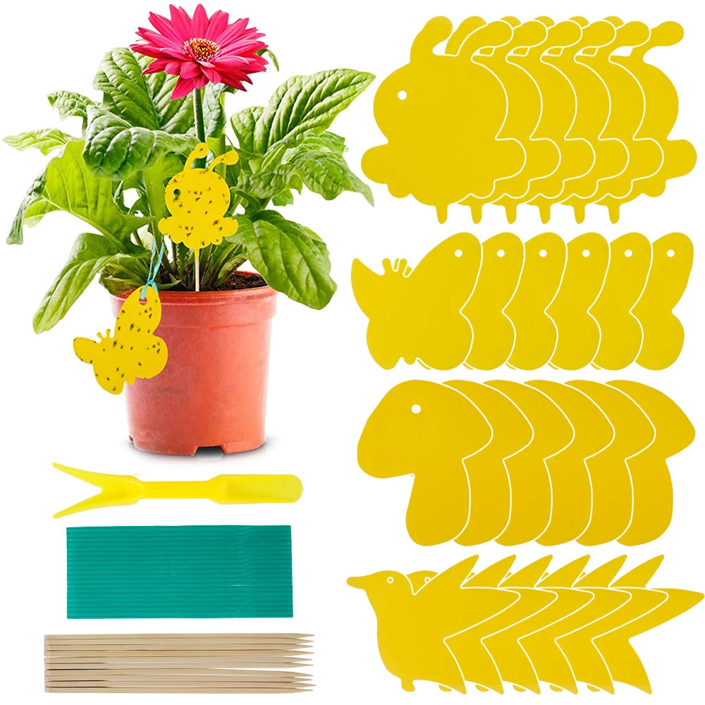 Sticky Traps Chemical-Free & Non-Toxic UV-Resistant 59 Pack