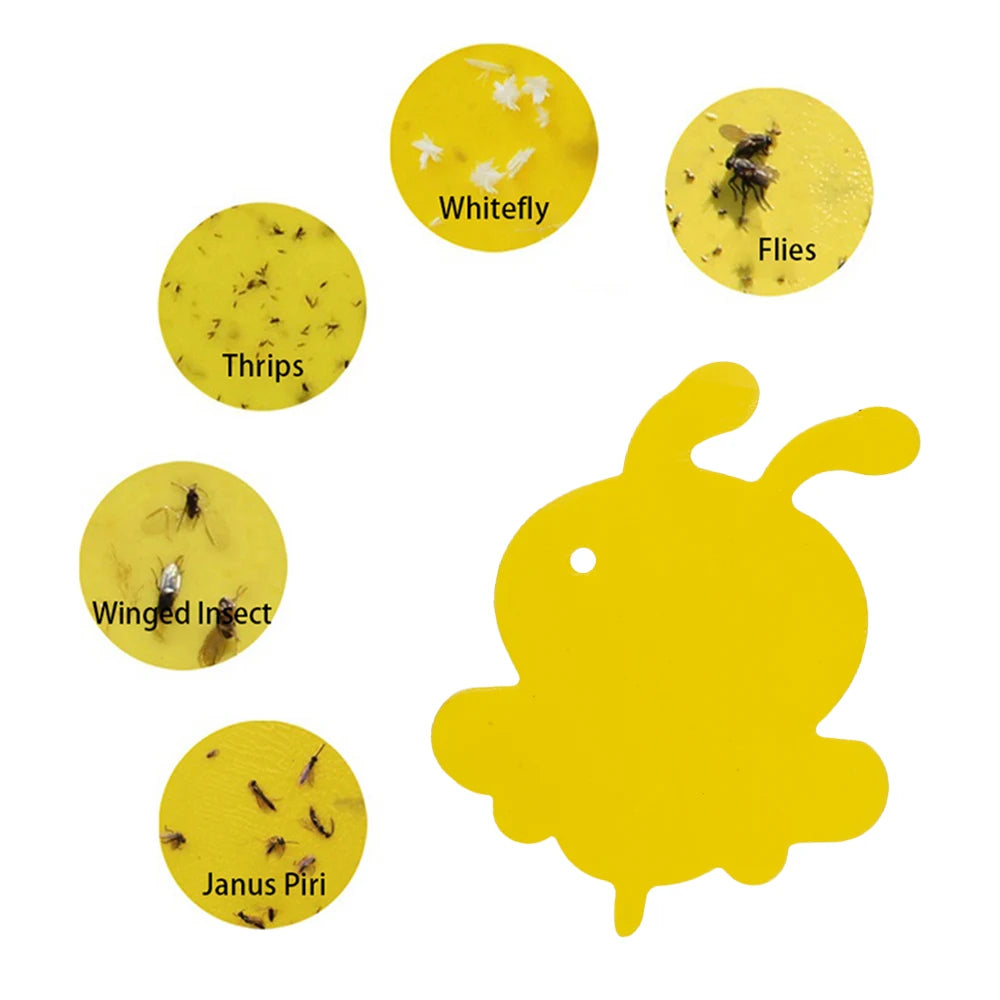 Sticky Traps Chemical-Free & Non-Toxic UV-Resistant 59 Pack
