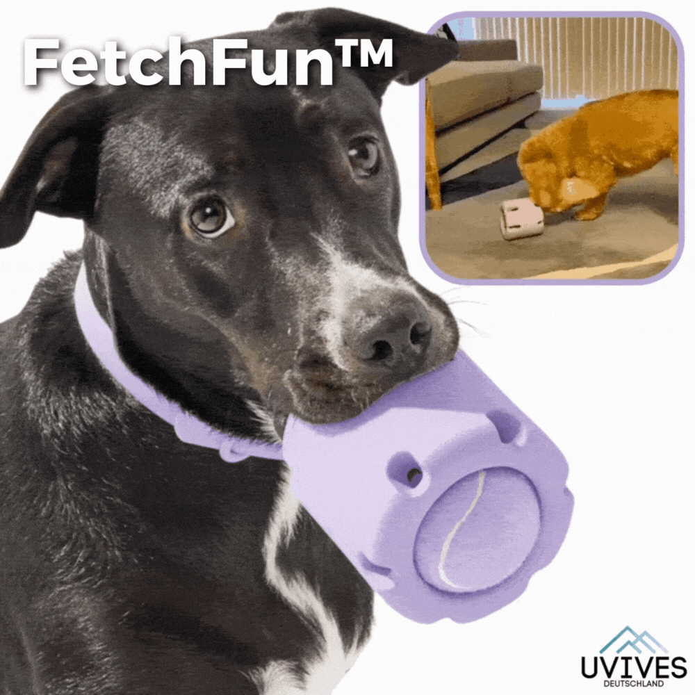 Tennis Dog Chew Toy Interactive Puzzle & Dental Cleaning Textures