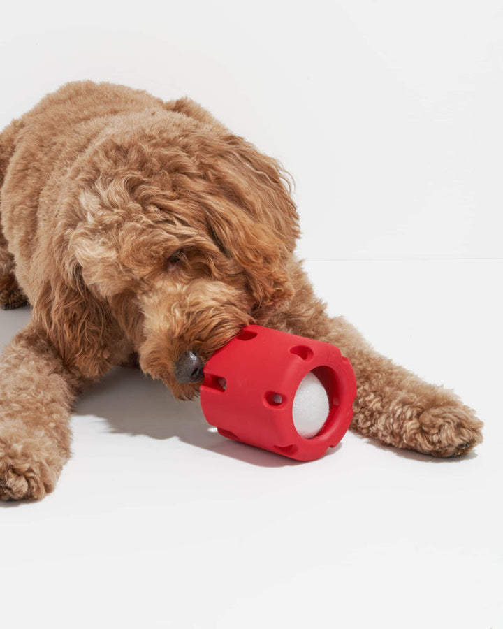 Tennis Dog Chew Toy Interactive Puzzle & Dental Cleaning Textures
