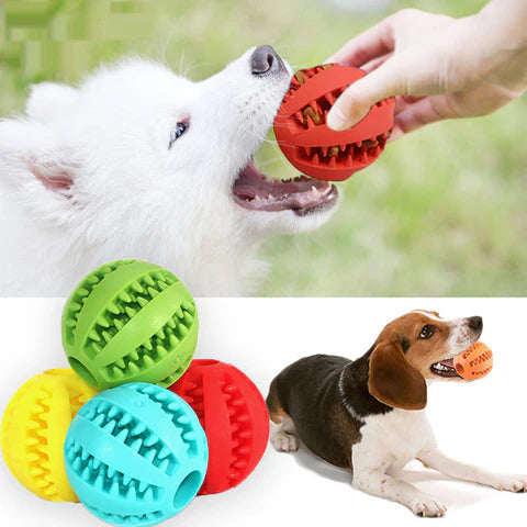 Treat Ball Natural Rubber Hollow Treat Dispenser