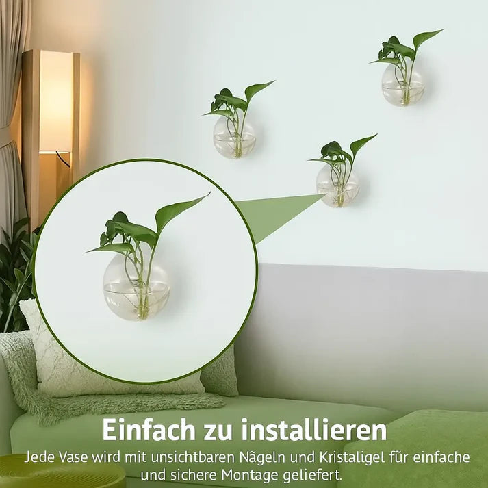 Wall Plant Holder Self-Adhesive No-Drill Acrylic