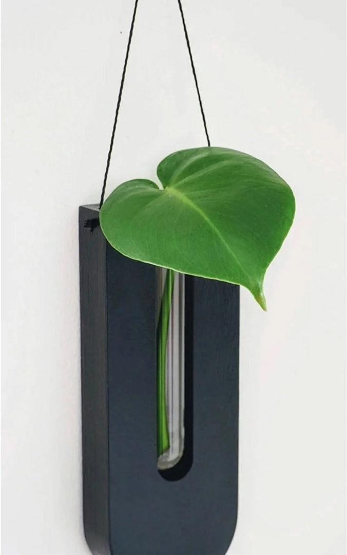Wall Vases Pine Wood Glass Tubes Set of 7