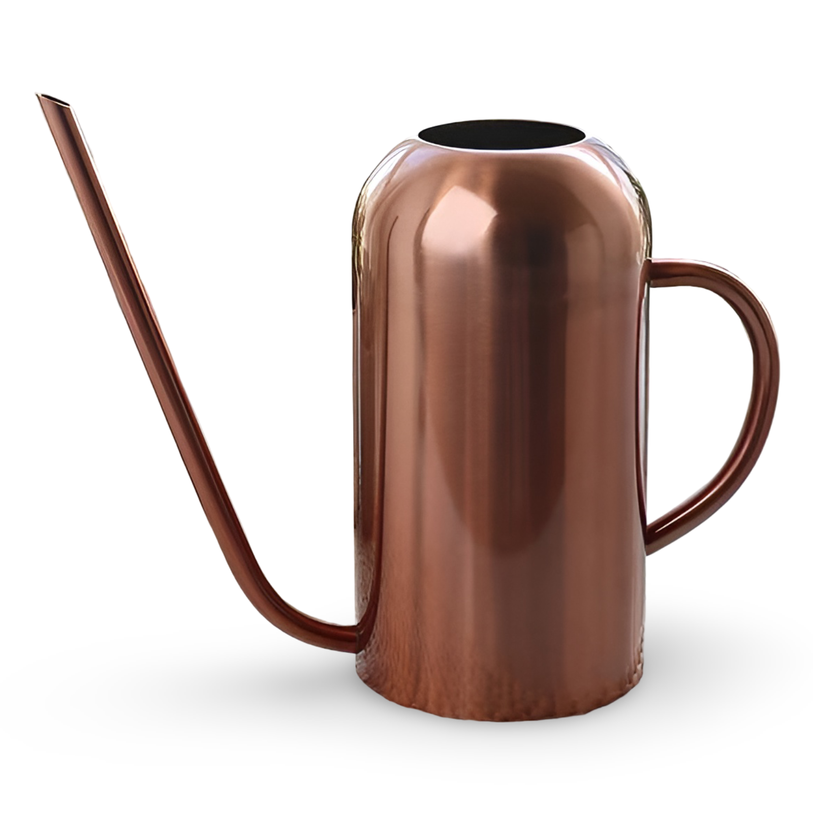 Watering Can Stainless Steel Long Precision Spout Ergonomic Handle