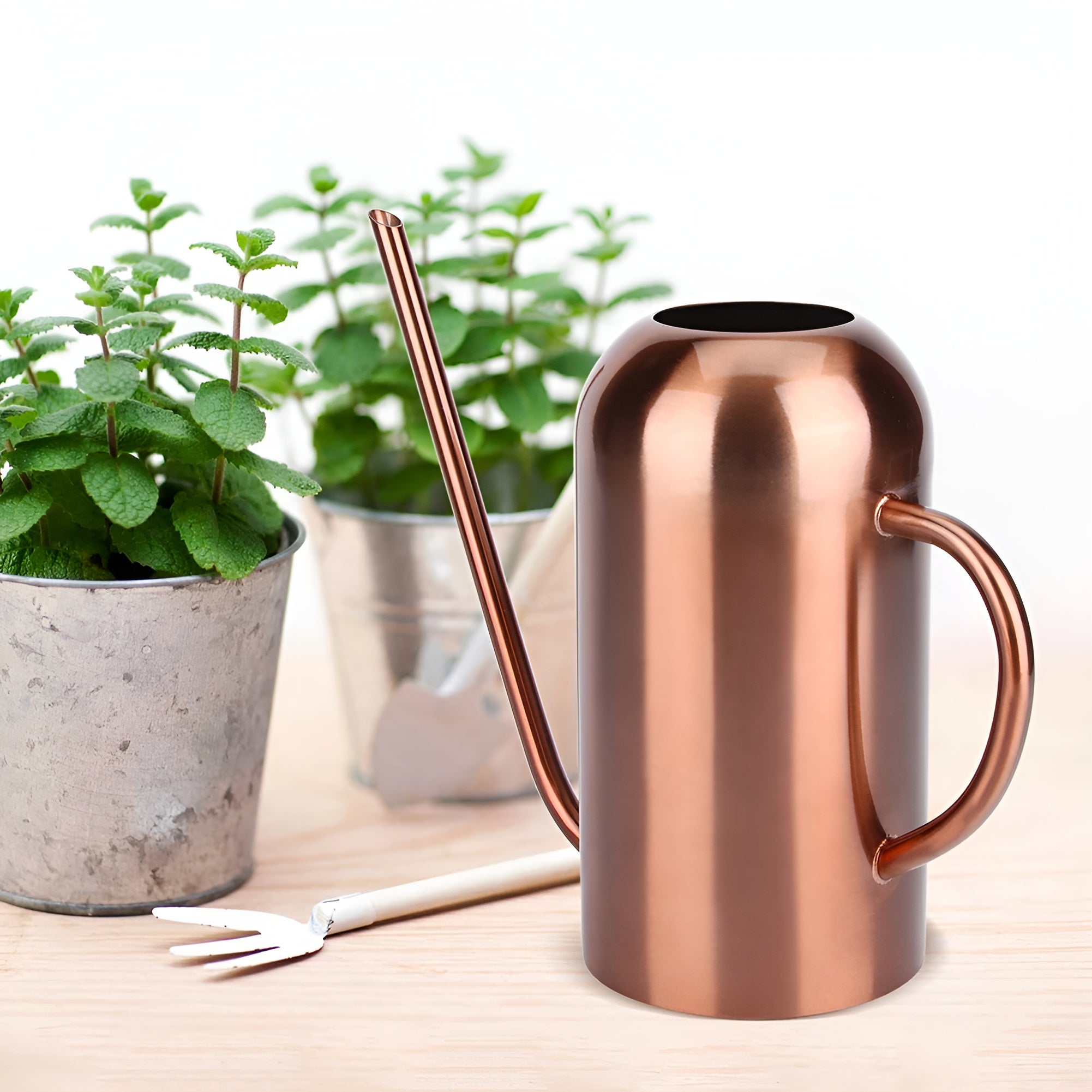 Watering Can Stainless Steel Long Precision Spout Ergonomic Handle