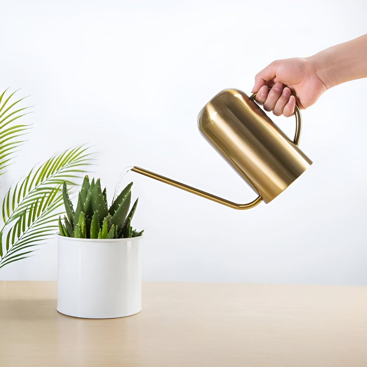 Watering Can Stainless Steel Long Precision Spout Ergonomic Handle