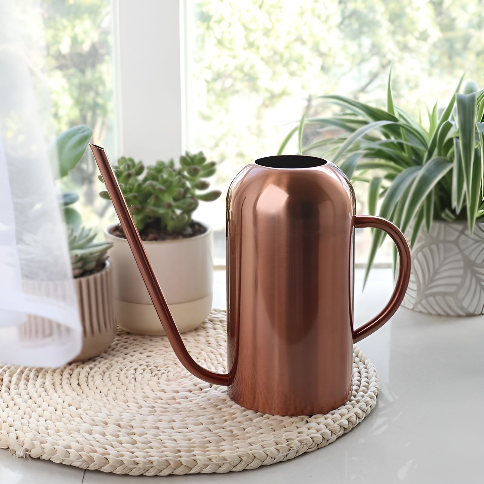 Watering Can Stainless Steel Long Precision Spout Ergonomic Handle