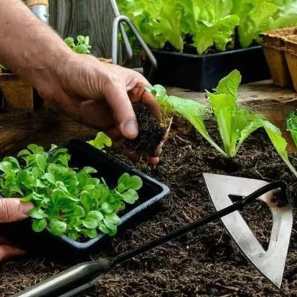 Weed Puller Attachment Stand-Up Hollow Blade & Forged Steel