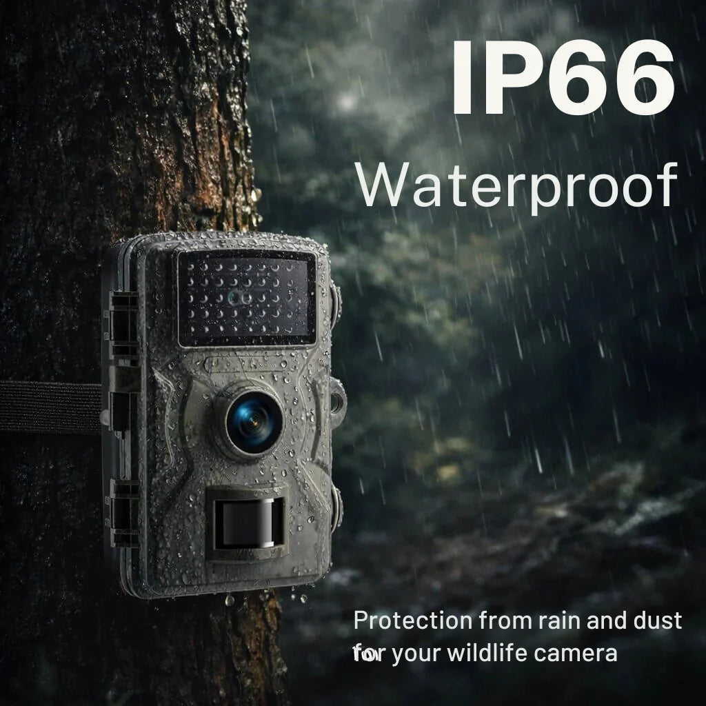 Wildlife Camera Infrared Night Vision Motion-Activated & Weatherproof