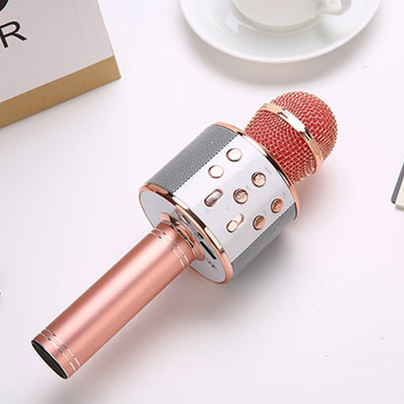 Wireless Karaoke Microphone Bluetooth & Stereo Speakers Noise-Canceling