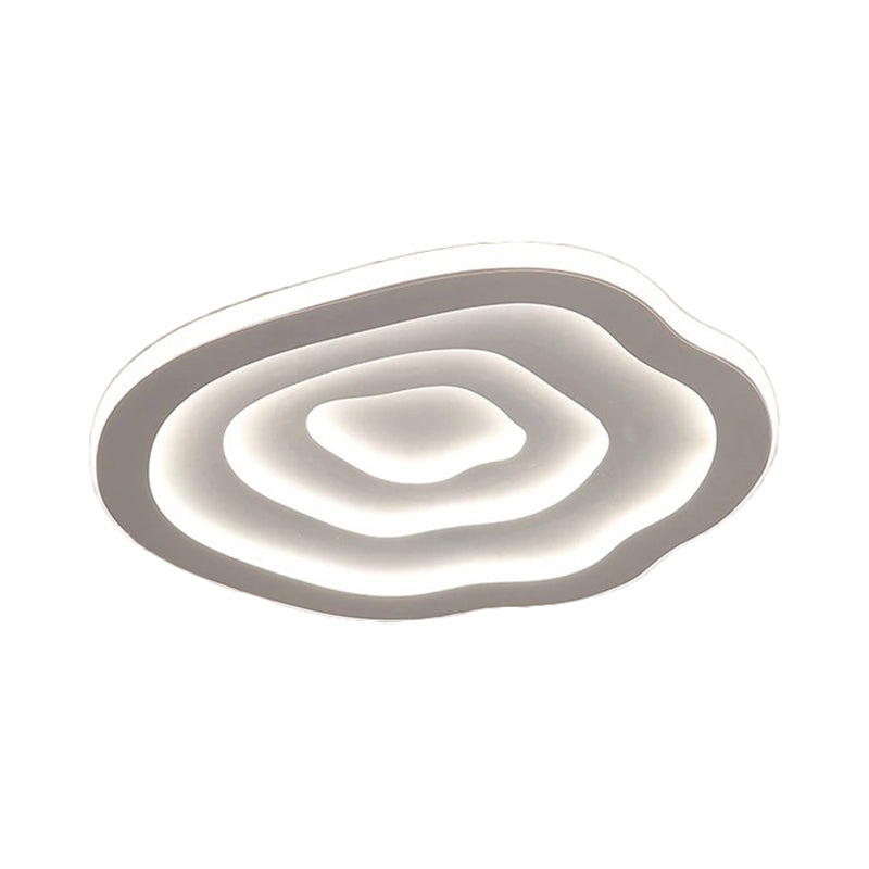 Acrylic Ceiling Light Fixture with Warm and Cool White LED Illumination