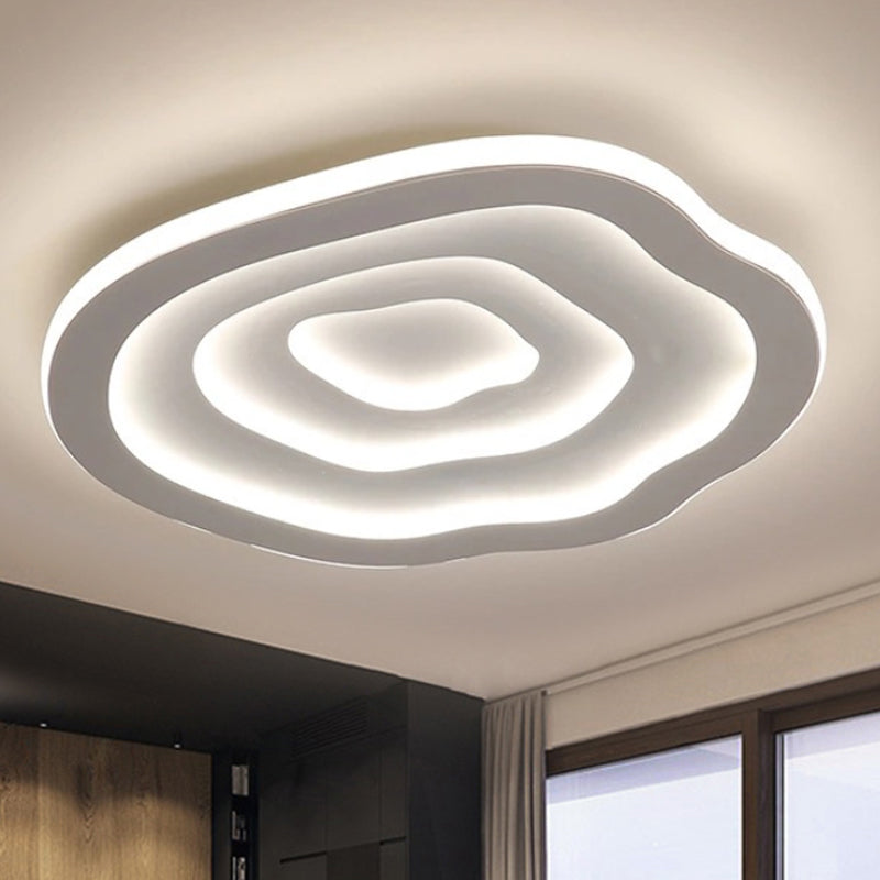 Acrylic Ceiling Light Fixture with Warm and Cool White LED Illumination