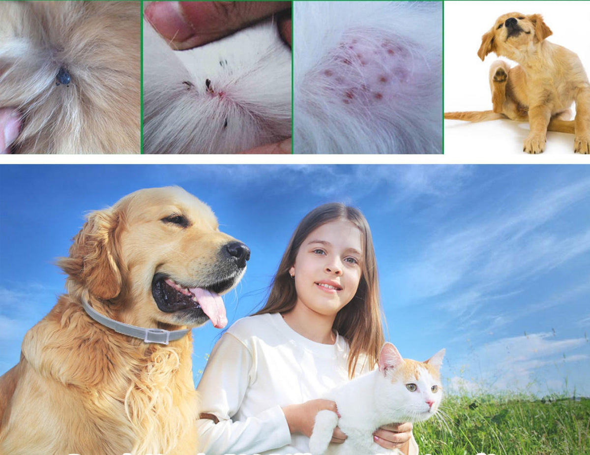 Flea & Tick Defense Collar for Dogs