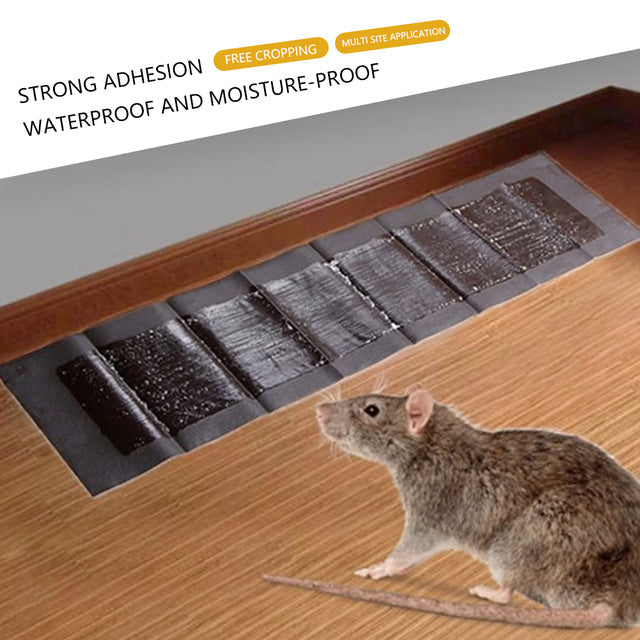 5 Oversized Adhesive Traps for Effective Rodent Control