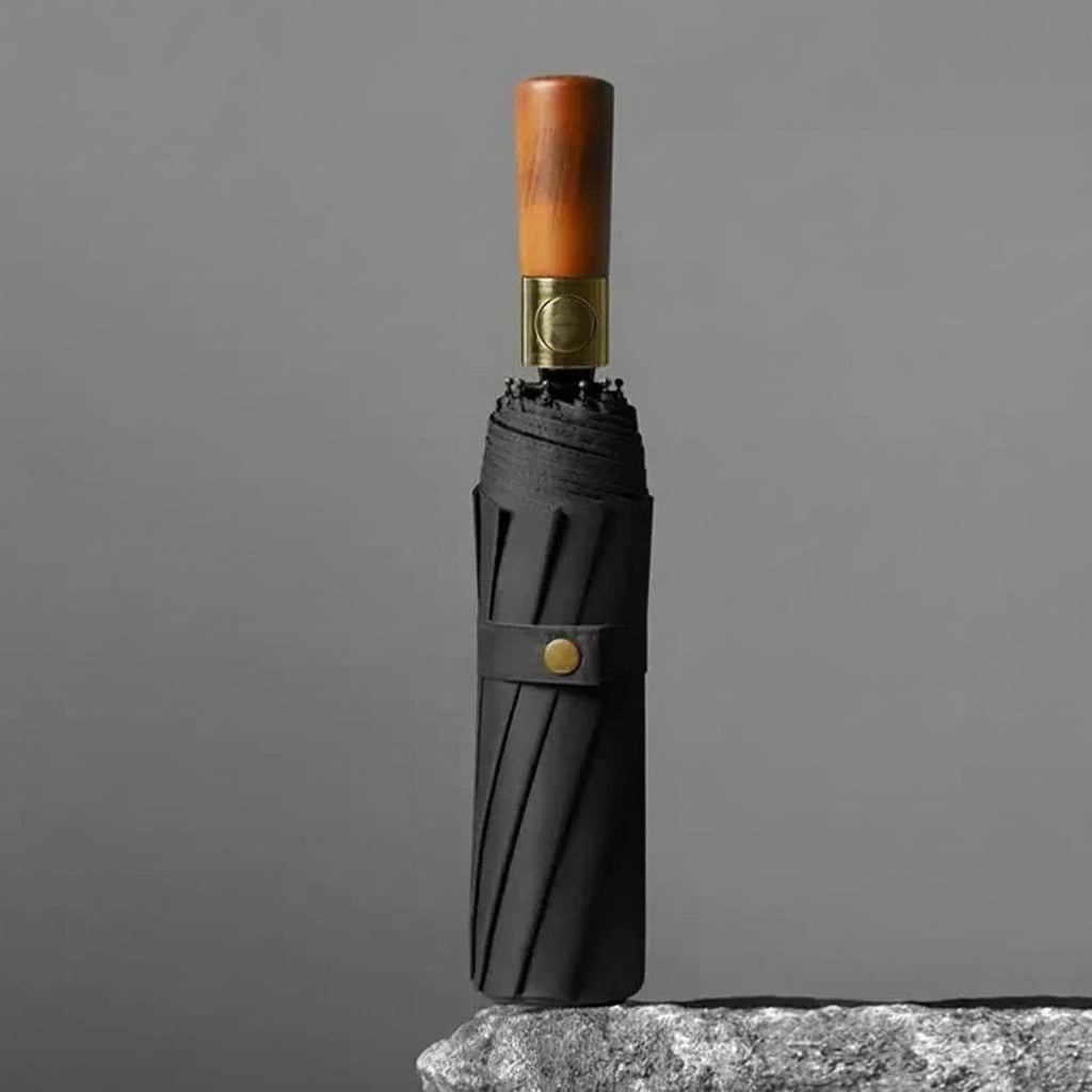 RainGuard – Fully Automatic Folding Umbrella