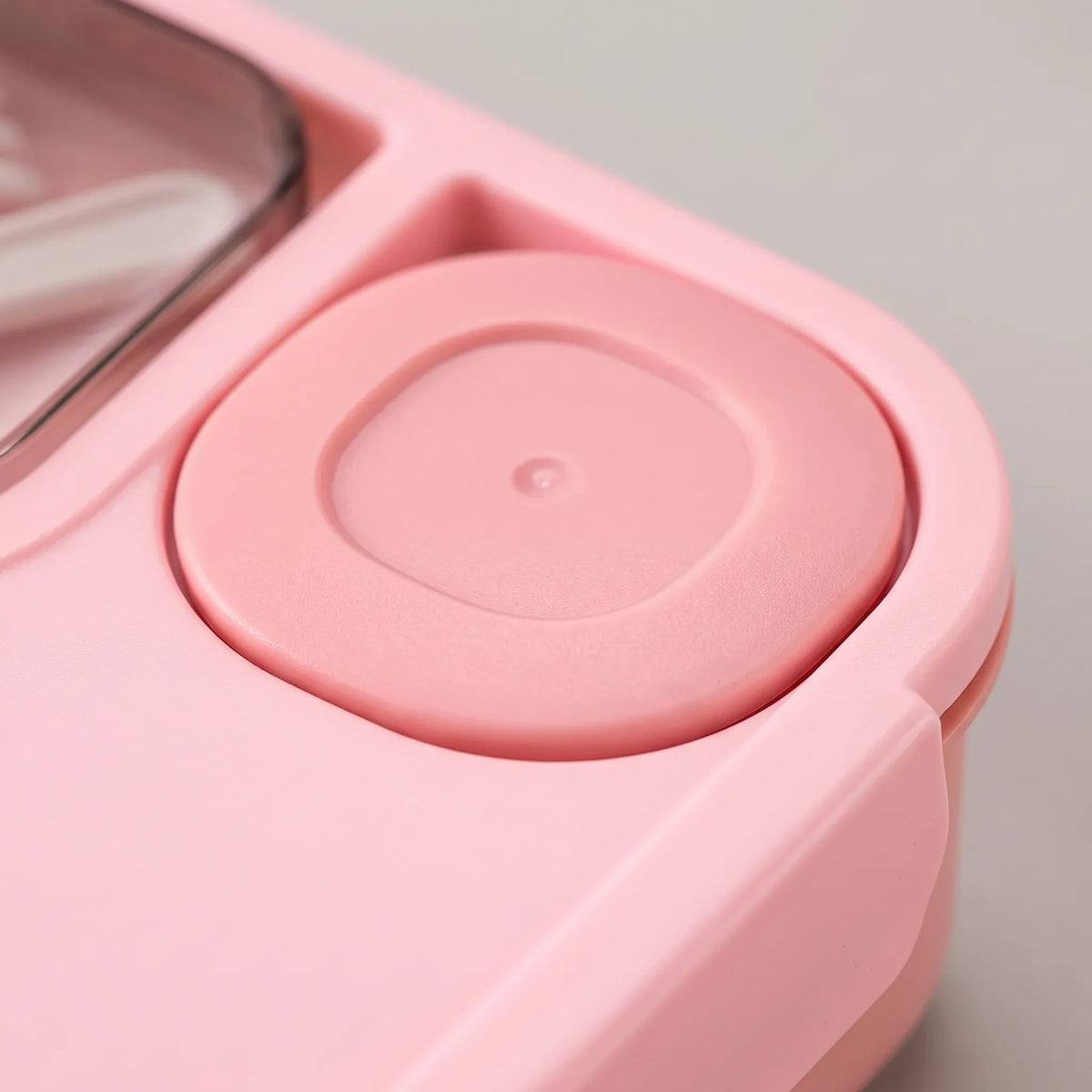 Partitioned Meal Prep Bento Box for Daily Use