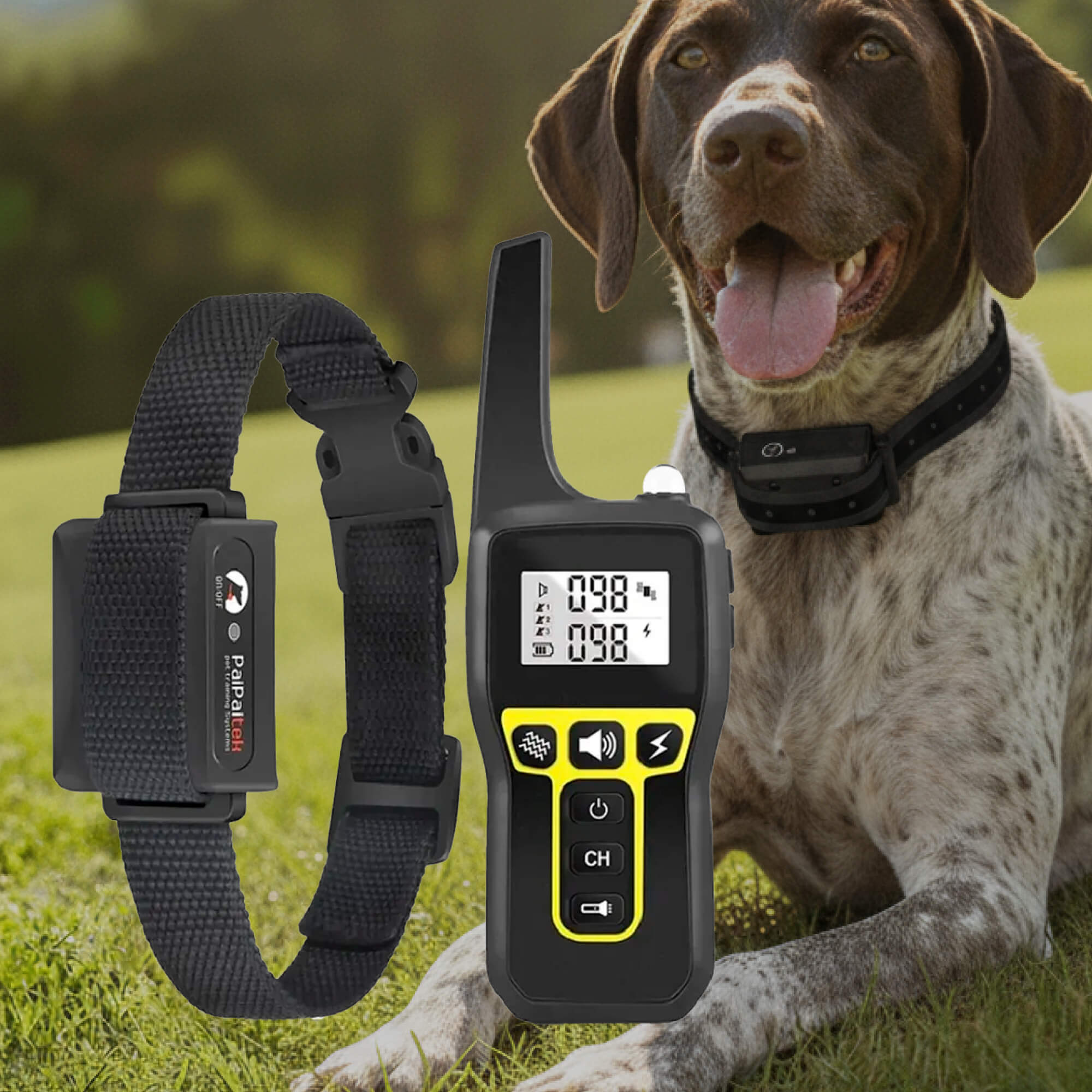 Ultimate Dog Training System | 1000m Waterproof Remote Control