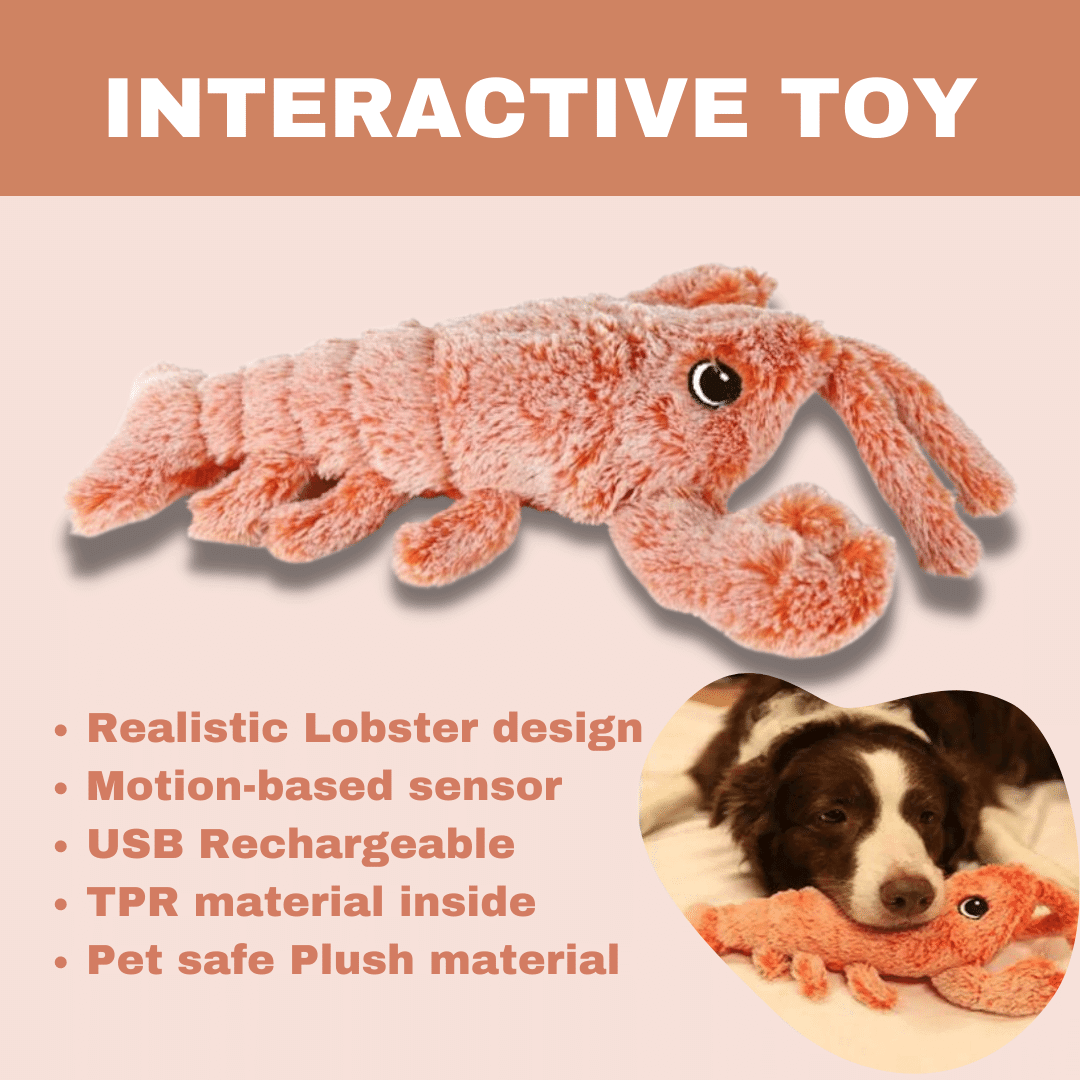 Lively Lobster Engaging Pet Toy