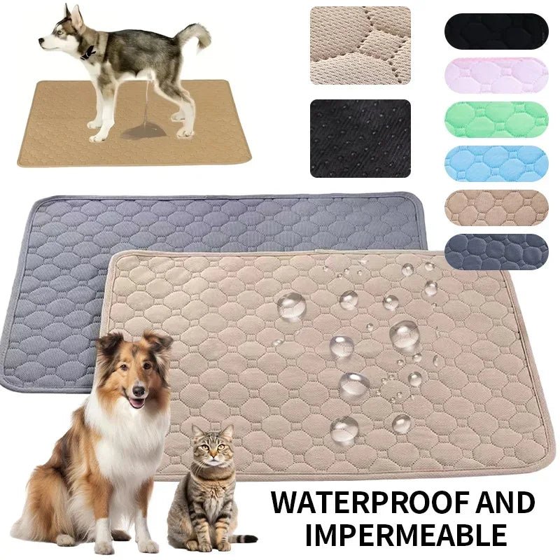 EcoSmart Reusable Dog Training Pads | High Absorbency & Washable