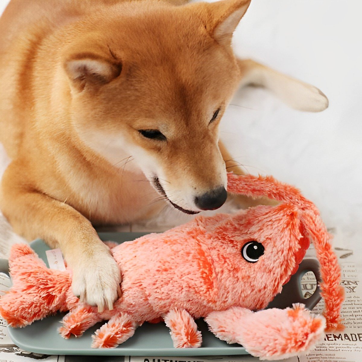 Lively Lobster Engaging Pet Toy