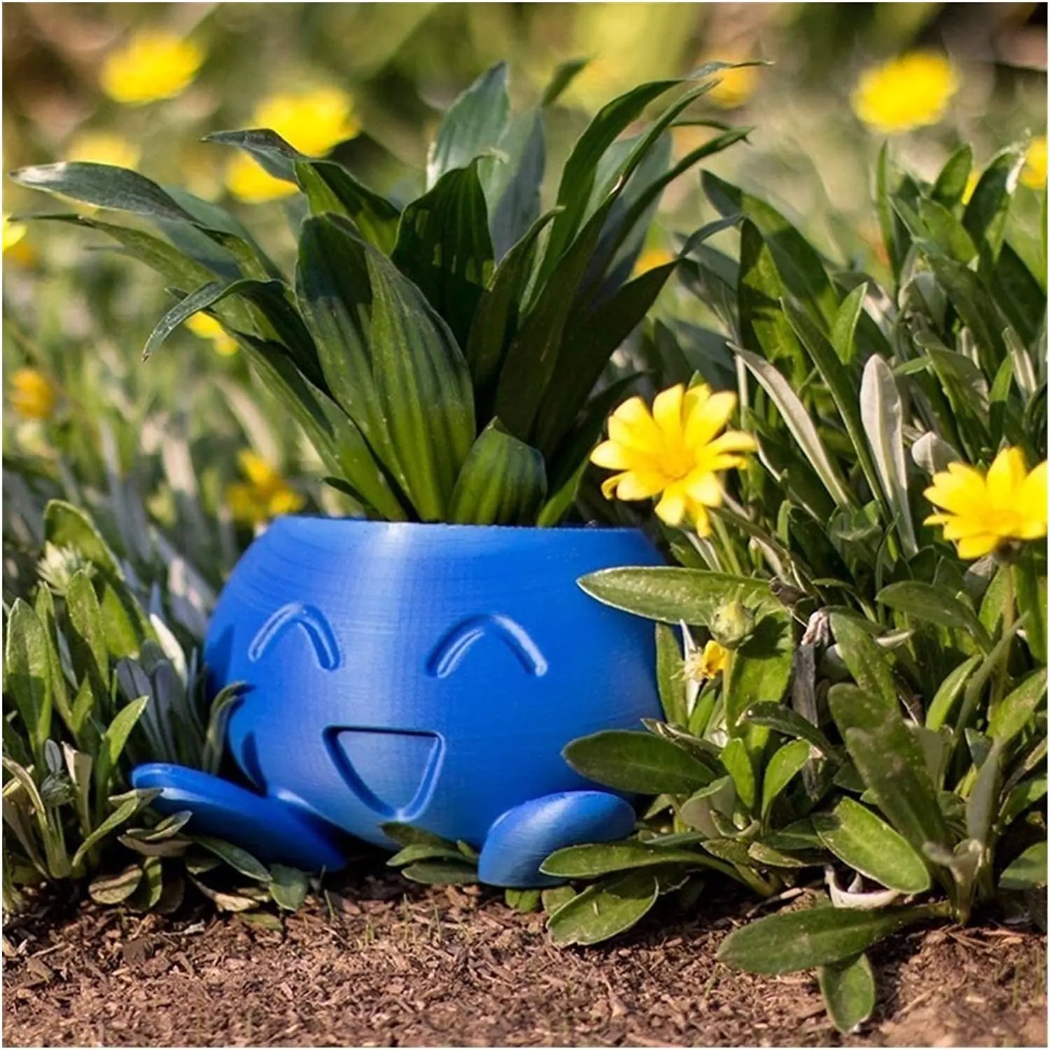 Quirky Planter for Succulents - Unique Design Pot