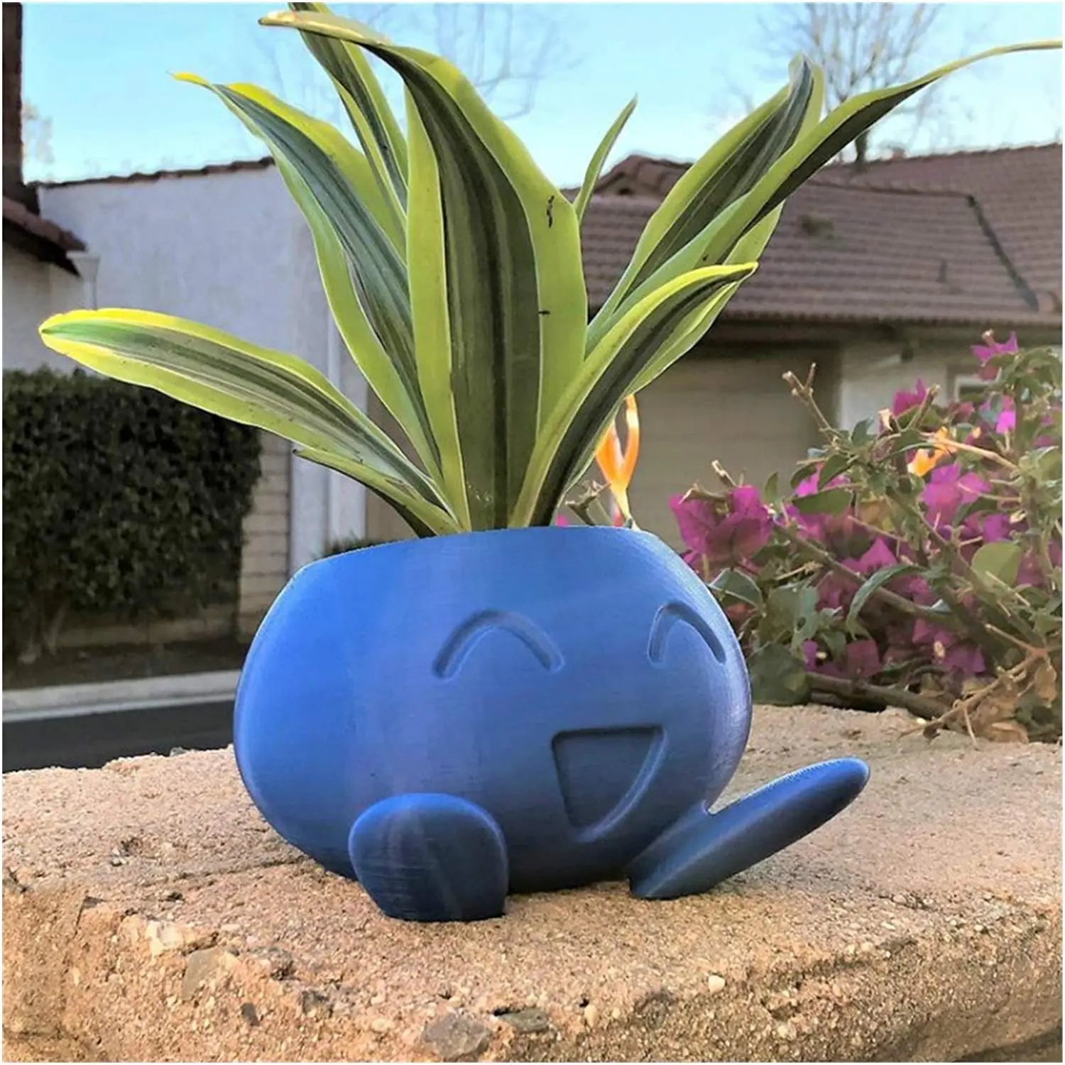Quirky Planter for Succulents - Unique Design Pot