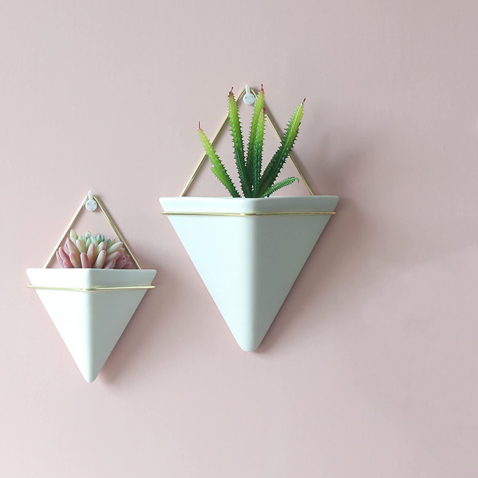 Stylish Triangular Wall Planter for Succulents and Air Plants
