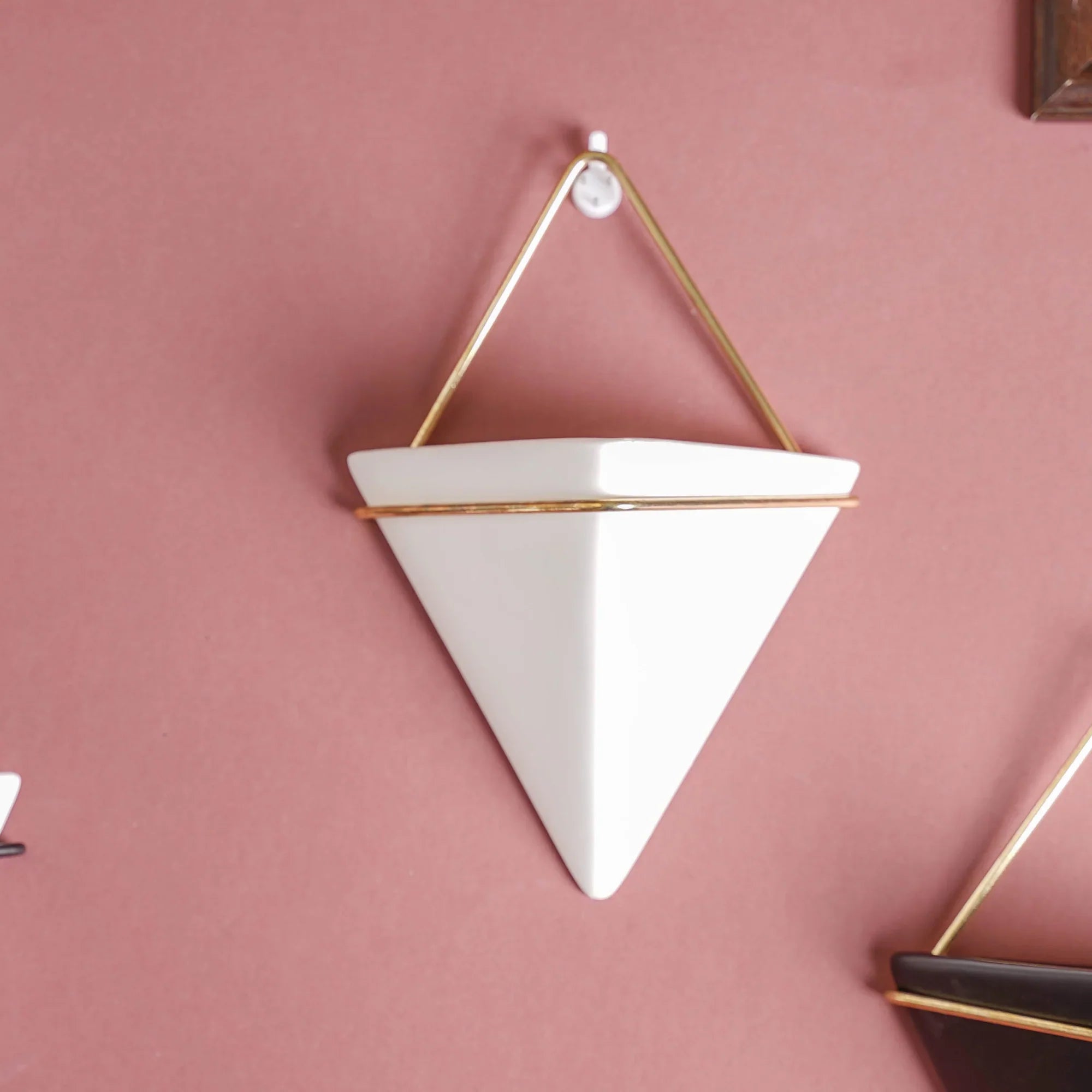Stylish Triangular Wall Planter for Succulents and Air Plants
