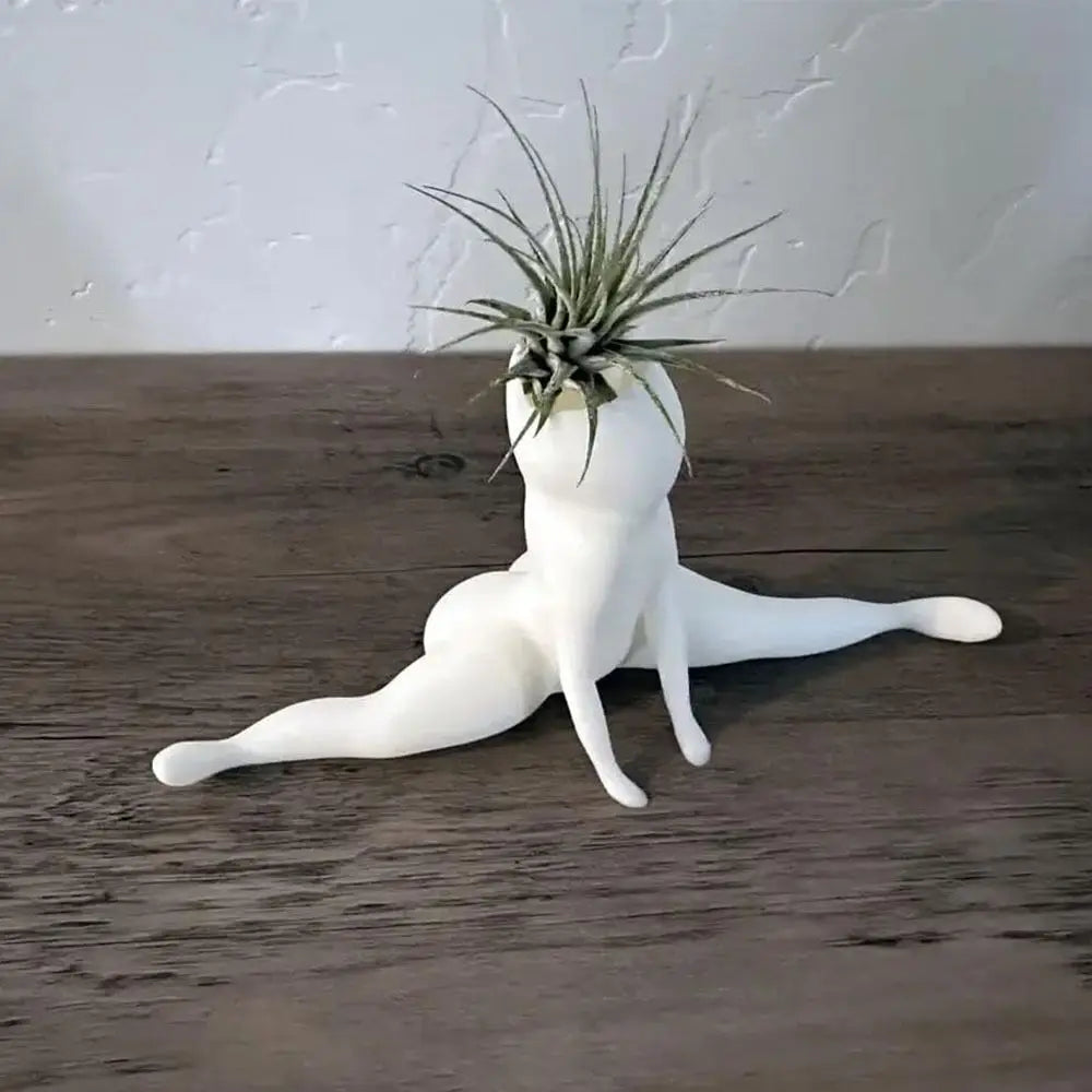 Unique Halloween-Themed Air Plant Holder - Spooky Design
