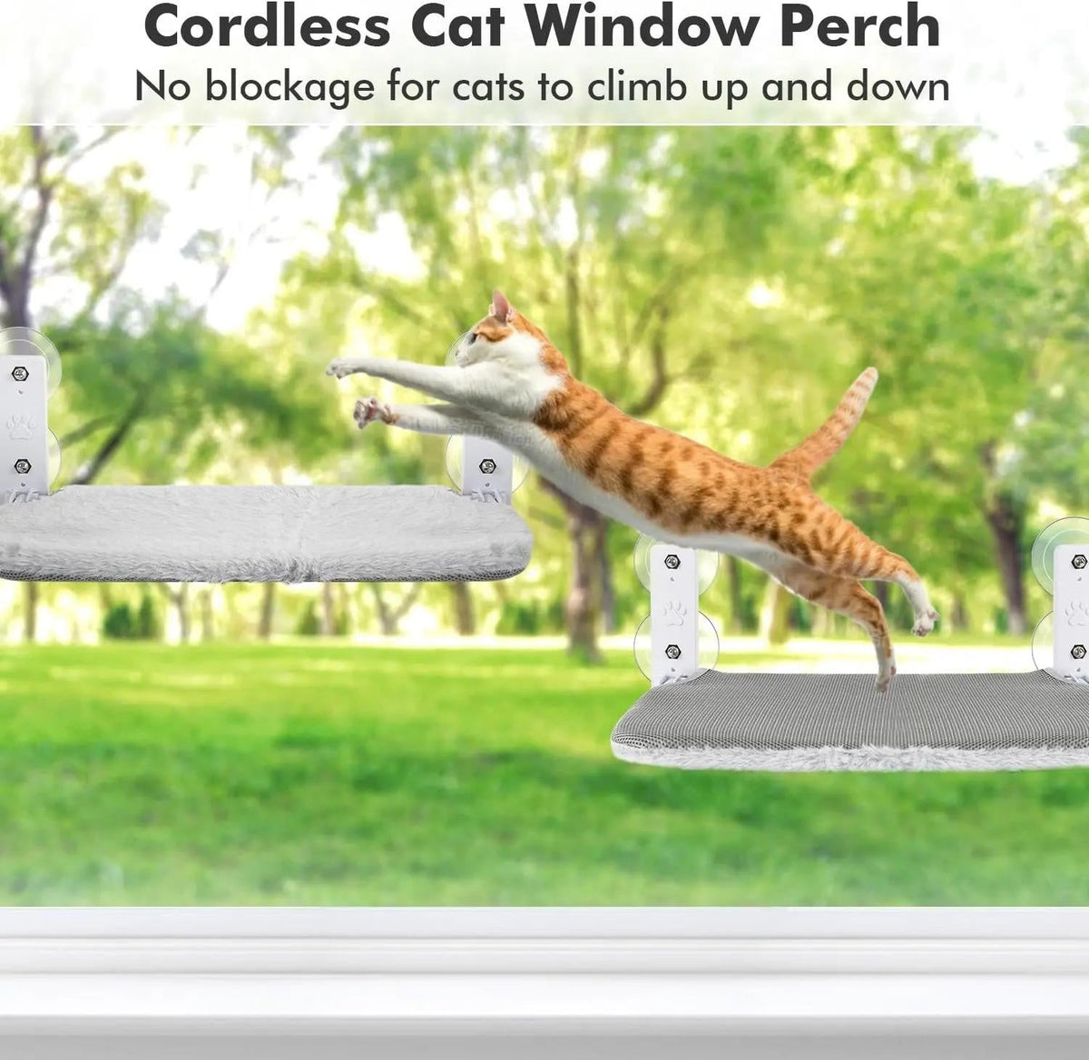 Window Perch for Cats – Ultimate Viewing Experience