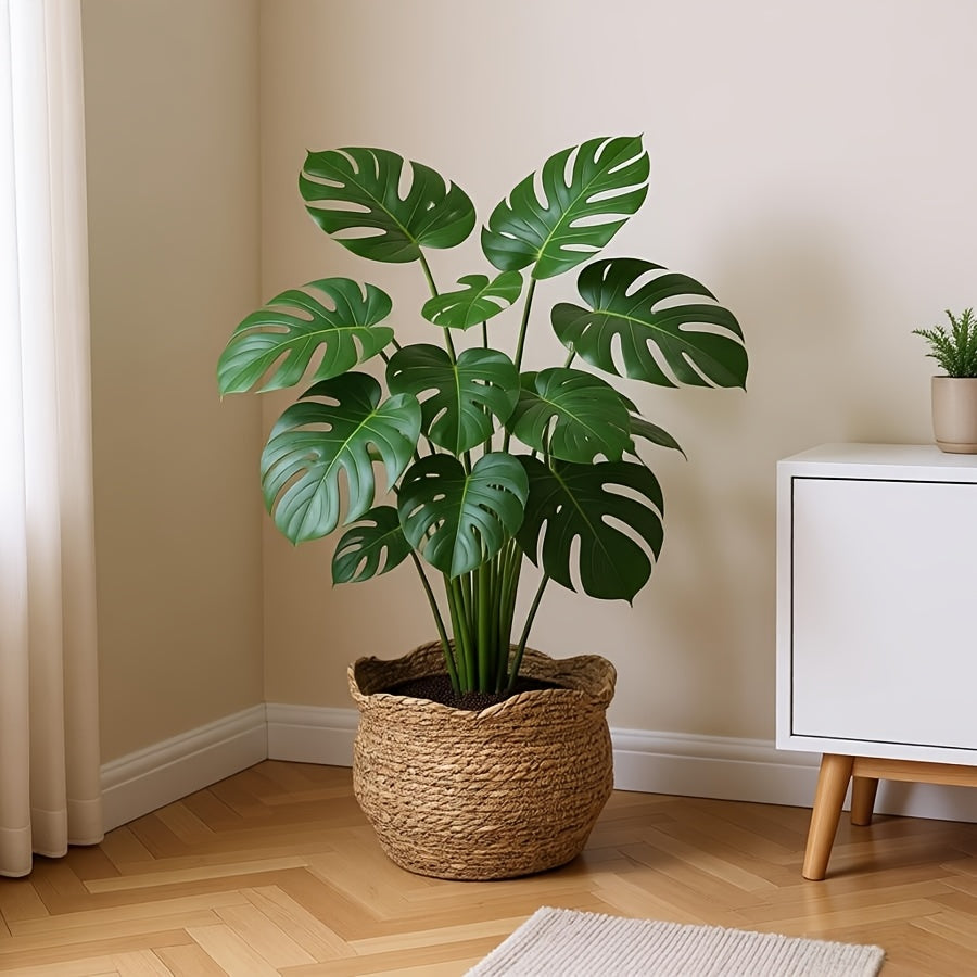 Elegant Woven Basket Planter for Indoor Greenery
