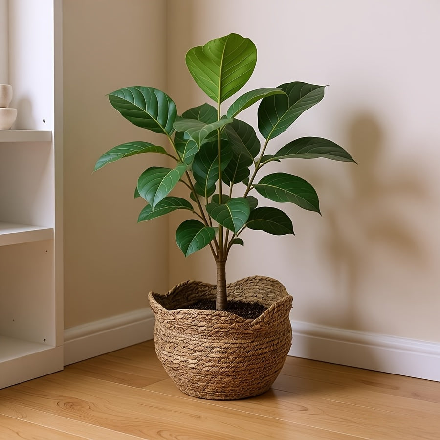 Elegant Woven Basket Planter for Indoor Greenery