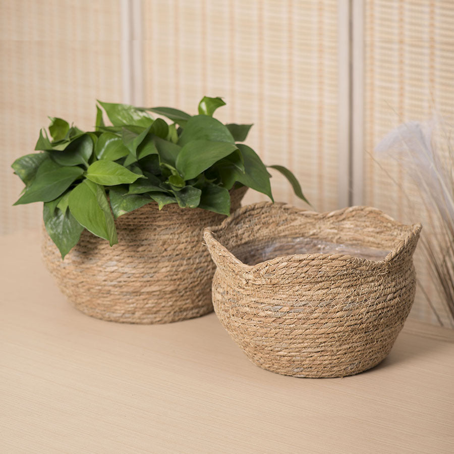 Elegant Woven Basket Planter for Indoor Greenery