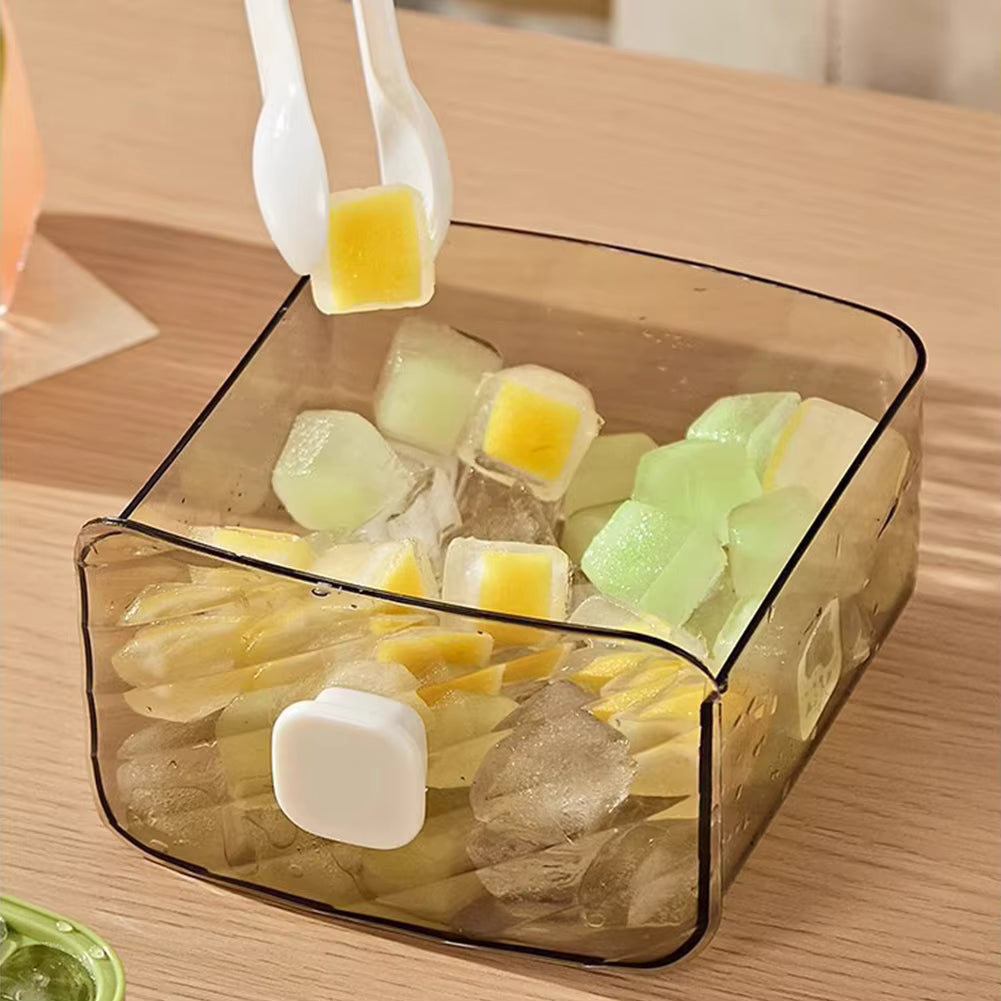 Multi-Functional Ice Maker and Storage Solution