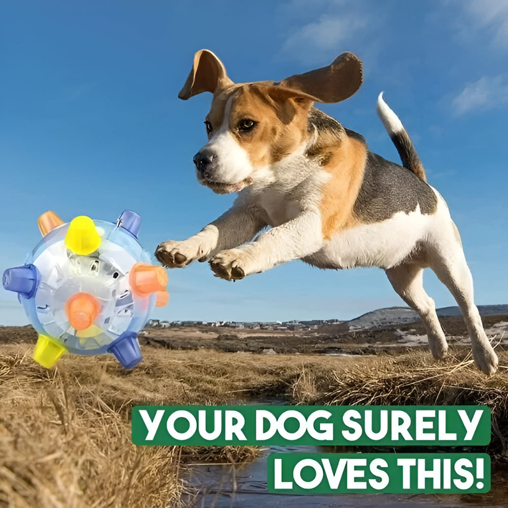 Dynamic LED Play Ball for Energetic Dogs | Lights & Motion