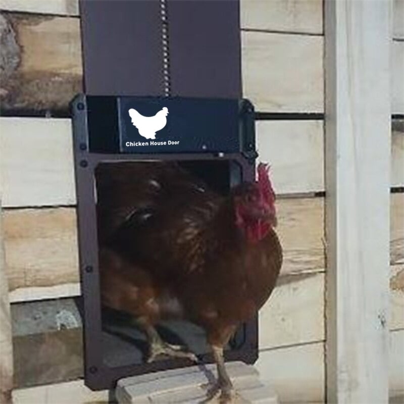 Smart Chicken Coop Door Controller with Light Sensor